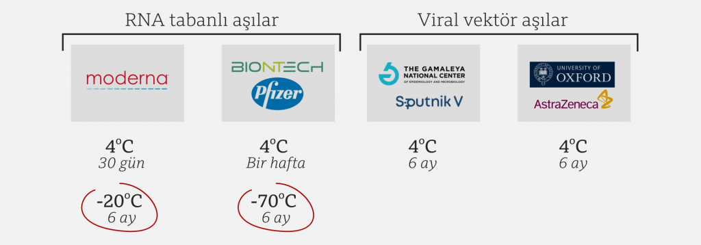 Hangi Korona Aşısı Güvenli